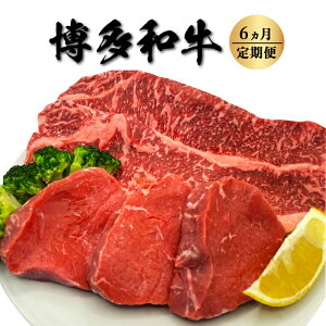 yӂ邳Ɣ[Łz y6ցza qƃT[C q100g×3 T[C250g×2 16͂   Ԑg  q q Xe[L Xe[L Ⓚ   