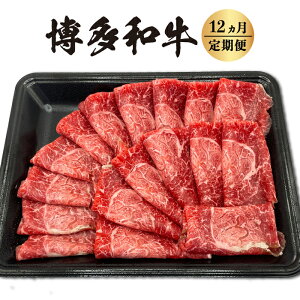 yӂ邳Ɣ[ŁzyIׂzzyցza I1   Ԑg  Ԃ BBQ Ⓚ   ͎s yVX[p[SALE 9J