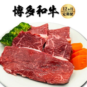 yӂ邳Ɣ[Łz yցza 󏭕ʂ̉ (ubN) 500g12񂨓͂   Ԑg  󏭕 ubN Xe[L Xe[L Ⓚ   ͎s yVX[p