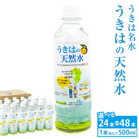【ふるさと納税】【選べる容量】うきは名水 うきはの天然水 (500ml×24本入り) ナチュラルミネラルウォーター お水 水 天然水 ミネラル ウォーター ペットボトル 送料無料 福岡県 うきは市