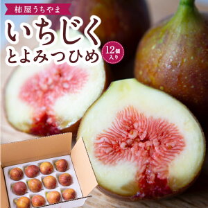 yӂ邳Ɣ[Łzys\z`  Ƃ݂Ђ 12 y2026N7{`9{菇\z C`WN ԉ Z ʓ IWii p 蕨 v[