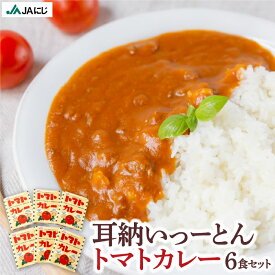 【ふるさと納税】JAにじ 耳納いっーとんトマトカレー 6食セット