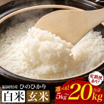 楽天市場】玄米 20kg 農家直送の通販