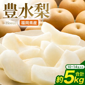 【ふるさと納税】【先行予約】豊水梨 豊水 5kg 10玉～14玉 梨 なし ナシ 完熟 福岡県産 うきは市 大容量 フルーツ 果物 くだもの 甘い ジューシー 旬 秋の味覚 お中元 ギフト 贈り物 家庭用 送料無料 常温 国産 JA福岡くるめ にじの耳納の里【2026年8月中旬頃発送予定】