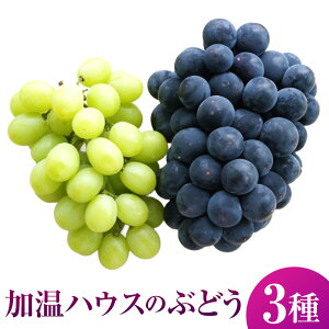 yӂ邳Ɣ[Łzys\zL@z엿gp Ȃ nEXԂǂ 3Zbg y2026N7{`8{菇\zytz Ԃǂ uhE  ʕ t[c lߍ킹 