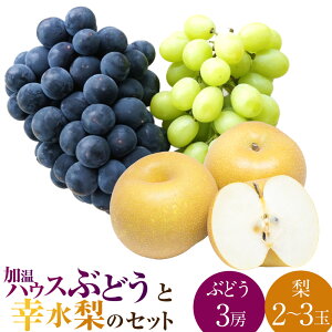 yӂ邳Ɣ[Łzys\zȂ nEXԂǂ i3[j K i2`3ʁj Zbg y2026N7{`8{菇\z ytz L@z엿gp Ȃ Ԃǂ uhE 