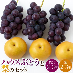 yӂ邳Ɣ[Łzys\z킠 nEXԂǂ i2`3[j  i2`3ʁj Zbg y2026N8{菇\zytz L@z엿gp Ԃǂ uhE    Ȃ ʕ 