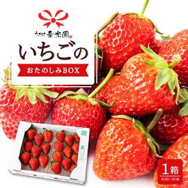 【ふるさと納税】 春光園 いちごのおたのしみBOX 1箱 【2025年12月から2026年4月下旬発送予定】いちご イチゴ 旬 フルーツ 果物 果実 送料無料 福岡県 うきは市