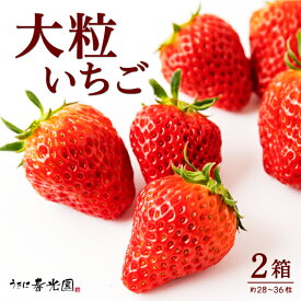 【ふるさと納税】 春光園 大粒いちご おたのしみBOX 2箱【2025年12月から2026年4月下旬発送予定】いちご イチゴ 旬 フルーツ 果物 果実 送料無料 福岡県 うきは市