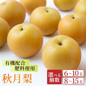 yӂ邳Ɣ[Łzys\zIׂ L@z엿gp H i6`10 i3kgj ^ 8`16 i5kgj j y2026N8{`9{菇\zytz  Ȃ ʕ t