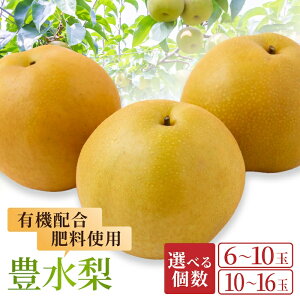 yӂ邳Ɣ[Łzys\zIׂ L@z엿gp L i6`10 i3kgj ^ 10`16 i5kgj j y2026N8{菇\zytz  Ȃ ʕ t[c 