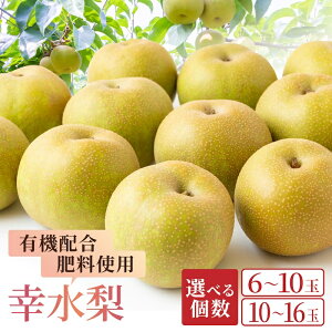 yӂ邳Ɣ[Łzys\zIׂ L@z엿gp K i6`10 i3kgj ^ 10`16 i5kgj j y2026N7{`8{菇\zytz  Ȃ K 