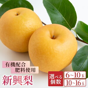 yӂ邳Ɣ[Łzys\zIׂ L@z엿gp V i6`10 i3kgj ^ 10`16 i5kgj j y2026N9{`10{菇\zytz  Ȃ ʕ t