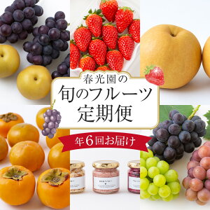 yӂ邳Ɣ[ŁzyN6ցzt̂̔̑蕨 i ^ Ԃǂ ^  ^ ` ^ t[co^[j y2026N1{`11{菇\z  C`S uhE 