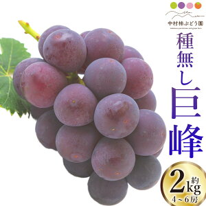 yӂ邳Ɣ[Łzys\z`Ԃǂ Ȃ 4[6[ i2kgj y2026N8{`9{菇\z Ȃ ̂ Ԃǂ  t[c ʎ ʕ ①  