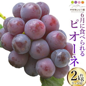 yӂ邳Ɣ[Łz`Ԃǂ 6ɐHׂԂǂsI[l 3[5[ i2kgj y2026N6{`6{菇\z Ԃǂ uhE  ʕ t[c ①   