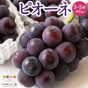 yӂ邳Ɣ[Łzys\z`Ԃǂ sI[l 3[5[ i2kgj y2026N7{`8{菇\z Ȃ ̂ Ԃǂ  t[c ʎ ʕ ①  