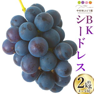 yӂ邳Ɣ[Łzys\z`Ԃǂ BKV[hX 4[5[ i2kgj y2026N8{`9{菇\z Ȃ Ԃǂ  t[c ʎ ʕ ①   