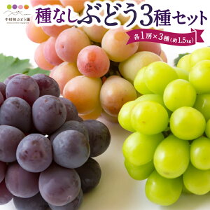 yӂ邳Ɣ[Łzys\z`Ԃǂ ȂԂǂ3Zbg e1[×3 i1.5kgj y2026N7{`9{菇\z Ȃ ̂ Ԃǂ  t[c ʎ ʕ ①