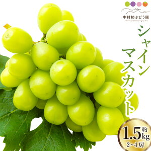 yӂ邳Ɣ[Łzys\z`Ԃǂ VC}XJbg 2[4[ i1.5kgj y2026N8{`9{菇\z }XJbg Ȃ ̂ Ԃǂ  t[c ʎ 