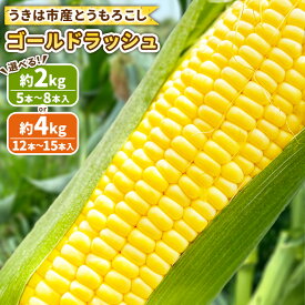 【ふるさと納税】【先行予約】＜選べる内容量＞とうもろこし ゴールドラッシュ 5本〜8本入（約2kg） / 12本〜15本入（約4kg） トウモロコシ フルーツコーン 野菜 やさい 冷蔵 福岡県産 国産 九州 福岡県 うきは市 送料無料 【2027年5月下旬〜6月下旬発送予定】
