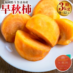 yӂ邳Ɣ[Łzys\z`_ H` 9ʂ12 (3kg) 2025N10{10{ oח\ ` JL { t[c ʕ ʎ 퉷   ͎s yVX[p[SALE 9