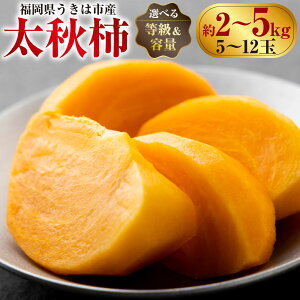 yӂ邳Ɣ[ŁzyIׂށzys\z`_ IH` 5ʂ6 (2kg)EH` 7ʂ8 (3kg)EH` 9ʂ12 (5kg) 10000~ ` 17000~ 1~ ` 17000~ ` JL { t