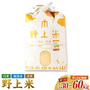 【ふるさと納税】<選べる種類・内容量>【6か月定期便】 野上米 白米 / 無洗米 / 玄米 1回あたり5kg / 10kg 1ヶ月毎 6回 令和7年産 お米 こめ ヒノヒカリ 精米 単一原料米 ごはん ご飯 福岡県産