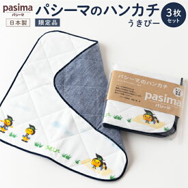 【ふるさと納税】【限定品】龍宮 パシーマのハンカチ うきぴー 3枚セット