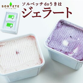【ふるさと納税】 【選べる容量】ソルベッチdoうきは ジェラート 120ml 6～12個セット／500ml 2～3個セット フルーツ ミルク スイーツ デザート いちごミルク ブルーベリーミルク 送料無料 福岡県 うきは市
