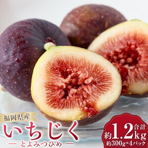 �y�ӂ邳�Ɣ[�Łz�C�`�W�N �Ƃ�݂Ђ� �v��1.2kg�i��300g×4�p�b�N�j �������� ���ԉ� �t���[�c �������� �ʕ� �ʎ� �① �������Y ���Y ��B ������ �����͎s �������� �y2026�N9�����{�`10��