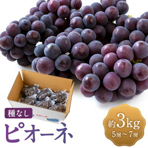 yӂ邳Ɣ[Łzys\zʔ_ sI[l 5[7[ 5[`7[ i3kgj y2026N8{`9{菇\z Ԃǂ uhE  嗱 햳 Ȃ t[c ʕ ʎ ①