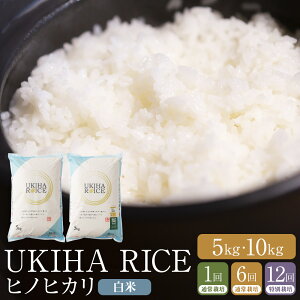 yӂ邳Ɣ[ŁzqIׂeʁEցr݂كt@[ UKIHA RICE  i5kgE10kgjEy6ցzEy12ցzy2025N11菇\zyʍ͔|āz  R 