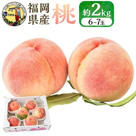 【ふるさと納税】道の駅うきは 桃 6～7玉 (約2kg) 【2026年7月下旬から8月上旬 出荷予定】 もも モモ 果物 果実 冷蔵 送料無料 福岡県 うきは市