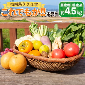 【ふるさと納税】 道の駅うきは これでもか!!ギフト (新鮮な農産物・特産品 約4.5kg) おまかせ 農産物 野菜 やさい 果物 フルーツ フード 送料無料 福岡県 うきは市