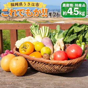 yӂ邳Ɣ[Łz ̉w ł!!Mtg (VNȔ_YEYi 4.5kg) ܂ _Y  ₳ ʕ t[c t[h   ͎s yVX[p[SALE 9J