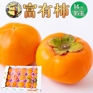 yӂ邳Ɣ[Łz̉w xL` 14ʂ15 2025N11{11{ oח\ `  JL t[c ʎ ʕ 퉷   ͎s yVX[p[SALE 9J