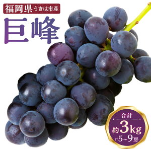 �y�ӂ邳�Ɣ[�Łz�y��s�\��z���̉w������ ���� 5�[����9�[ (��3kg) �y2026�N8�����{����9����{ �o�ח\��z ���� �Ԃǂ� �u�h�E �ʕ� �ʎ� �t���[�c �X�C�[�c �f�U�[�g �H�i ������ �����͎s 