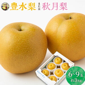 �y�ӂ邳�Ɣ[�Łz�y��s�\��z���̉w������ �L�����܂��͏H���� 6�ʂ���9�� (��3kg) �y2026�N8�����{����9����{ �o�ח\��z �ʕ� �ʎ� �퉷 �������� ������ �����͎s