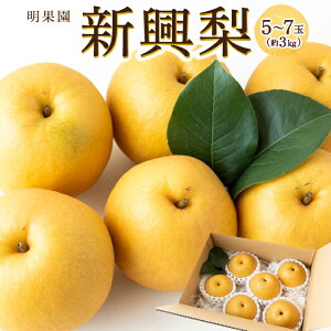 yӂ邳Ɣ[Łz ys\zʉ V 5ʁ`7 i3kgj y2026N9{`10{菇\zȂ  ʕ t[c   ͎s 퉷