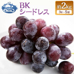 yӂ邳Ɣ[Łzys\z܂ǂ BKV[hX 3[5[ i2kgj y2026N8{`9{菇\z Ԃǂ uhE  t[c ʕ ʎ ①   