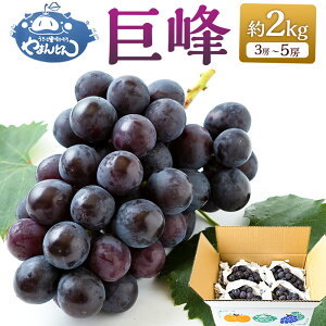 yӂ邳Ɣ[Łzys\z܂ǂ  3[5[ i2kgj y2026N8{`9{菇\z Ԃǂ uhE  t[c ʕ ʎ ①   ͎s