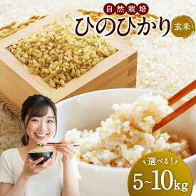 【ふるさと納税】〈選べる容量〉自然栽培 ひのひかり 玄米5kg・10kg【2025年10月下旬より発送予定】 ぶんぶんファーム 玄米 米 お米 ご飯 送料無料 福岡県 うきは市