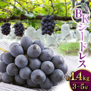 yӂ邳Ɣ[Łzys\zˋ BKV[hX 3[5[ i1.4kgj y2026N8{`9{菇\z ^l ~l_Y Ԃǂ uhE  t[c ʕ ʎ 