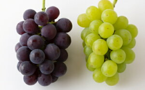 yӂ邳Ɣ[Łz`ʎ E lߍ킹 3kg i 35[E 2[j y2026N8{`9{菇\z uhE Ԃǂ  햳 Ȃ t[c ʎ ʕ ①