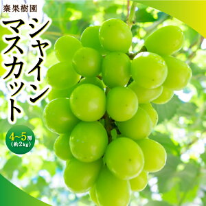 yӂ邳Ɣ[Łzys\z`ʎ VC}XJbg 4`5[ i2kgj y2026N8{`9{菇\z }XJbg Ԃǂ uhE  t[c ʕ ʎ ①  