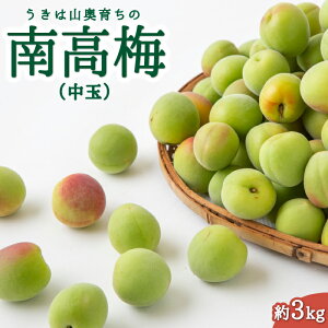 yӂ邳Ɣ[Łz ؔ_ ͎R炿̓썂~ iʁj 3kg y2026N6{菇\z ~  E ʎ ~ ~ ~ ~Vbv ~W ①   