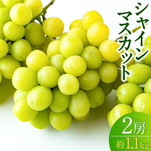 yӂ邳Ɣ[Łzys\z_ VC}XJbg 2[ i1.1kgj y2026N9{`9{菇\z }XJbg Ԃǂ uhE  ʕ t[c ①  