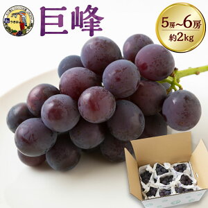 yӂ邳Ɣ[Łzys\z_  5`6[ i2kgj y2026N8{`8{菇\z  Ԃǂ uhE ʕ  t[c ʎ    