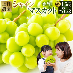 yӂ邳Ɣ[ŁzIׂeʁys\z㑺_ inEXjVC}XJbg i2`3[ i1.2kgj ^ 4`6[ i2kgj ^ 5`8[ i3kgj j y2026N7{`8{菇\